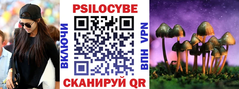 магазин  наркотиков  Нижнекамск  площадка состав  Псилоцибиновые грибы GOLDEN TEACHER 