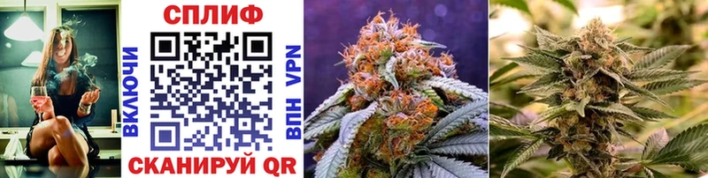 Канабис White Widow  купить  цена  Нижнекамск 